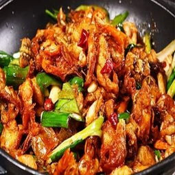 牛蛙愛(ài)上蝦產(chǎn)品 牛蛙愛(ài)上蝦產(chǎn)品圖片 牛蛙愛(ài)上蝦怎么樣 最新牛蛙愛(ài)上蝦產(chǎn)品展示